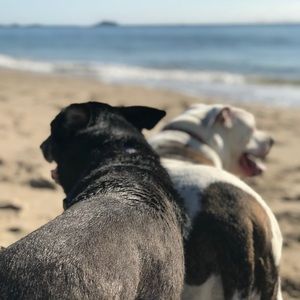 Meet your Posher, Jacki